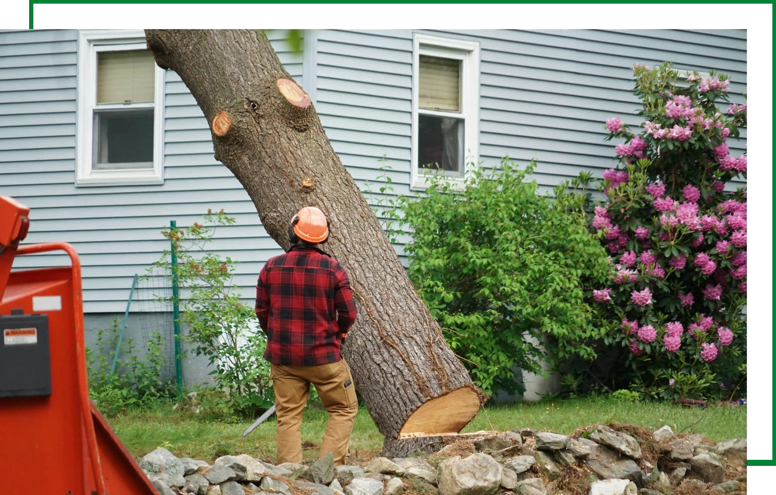 Tree-Removal-Service