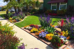 Landscaping Ideas for Front of House