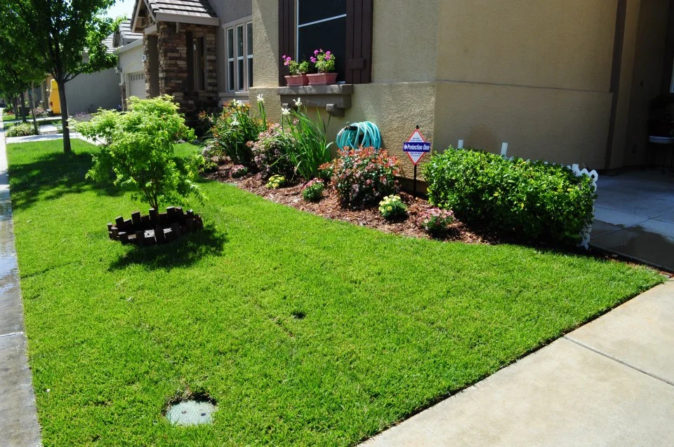 Landscape-Design-Sacramento