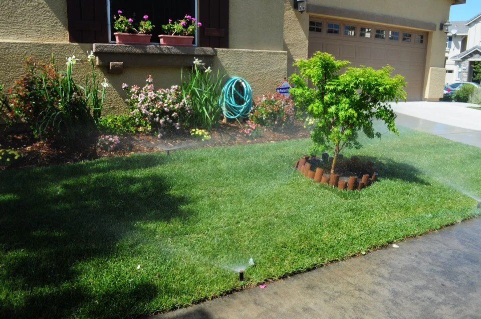 Landscape-Design-Sacramento